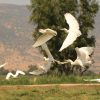 ⁦קלפים טיפוליים- Deep see קלפי תצלומים⁩ – תמונה ⁦4⁩