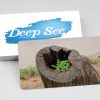 ⁦קלפים טיפוליים- Deep see קלפי תצלומים⁩ – תמונה ⁦8⁩