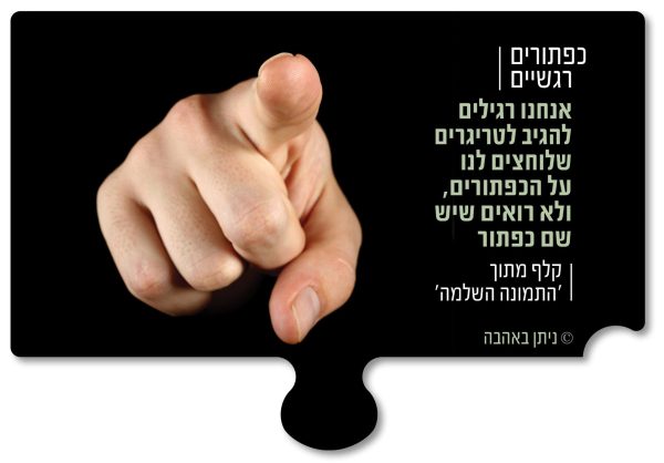 התמונה השלמה קלפי אימון קלפים למאמנים לקבוצות וסדנאות , למבוגרים ונוער עם תמונות, משימות ושאלות,